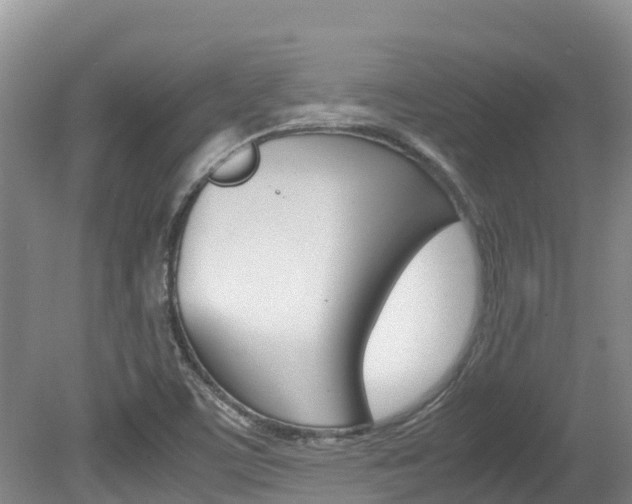 X0000080711459200612150850