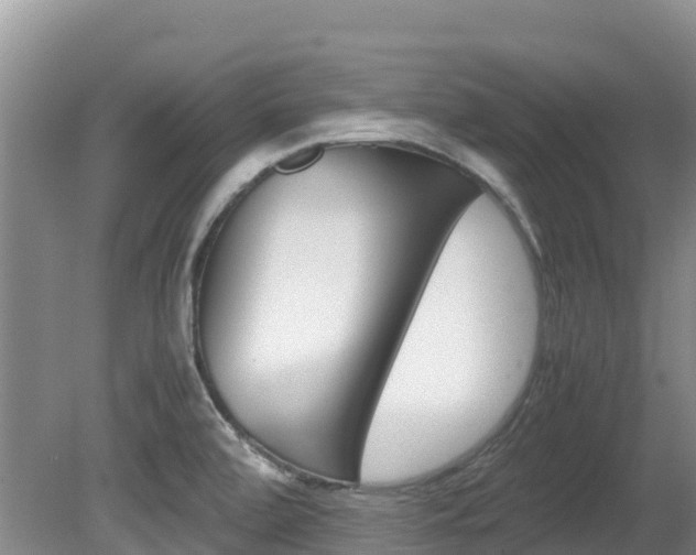 X0000080711472200612150850
