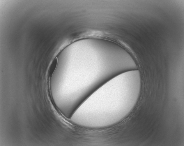 X0000080711475200612150850