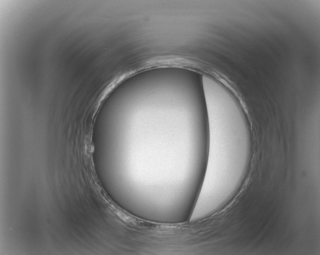 X0000080711481200612150850