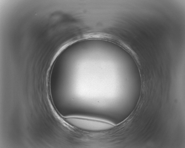X0000080711483200612150849