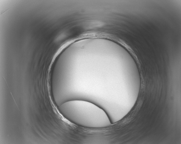 X0000080711486200612150849