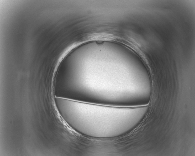 X0000080711488200612150849
