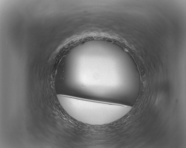 X0000080711495200612150849
