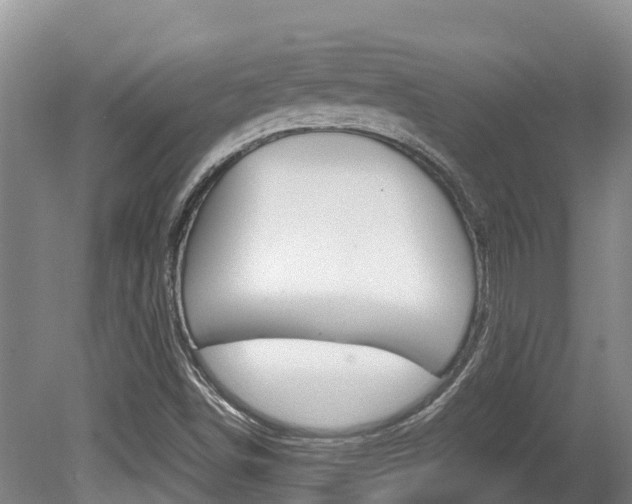 X0000080711498200612150849