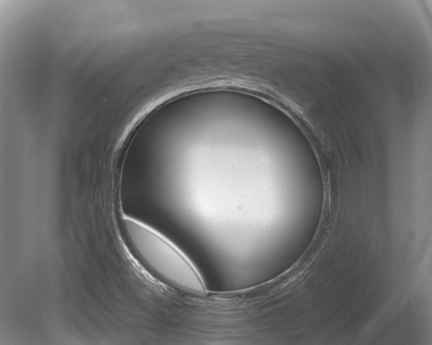 X0000080711500200612150849