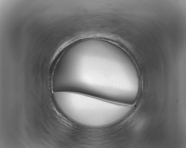X0000080711501200612150849