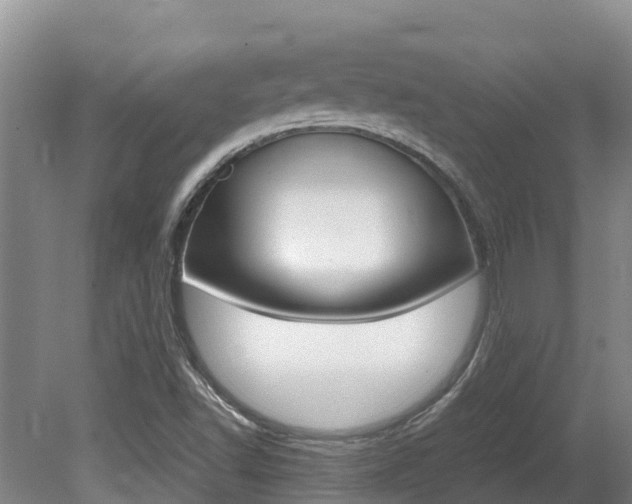 X0000080711502200612150849