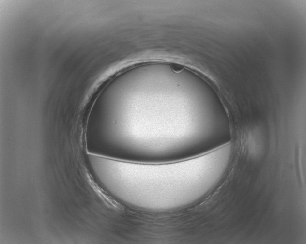 X0000080711507200612150849