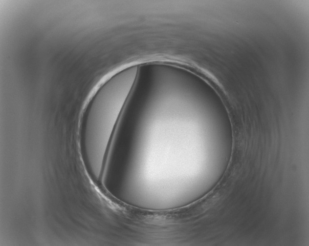 X0000080711508200612150849
