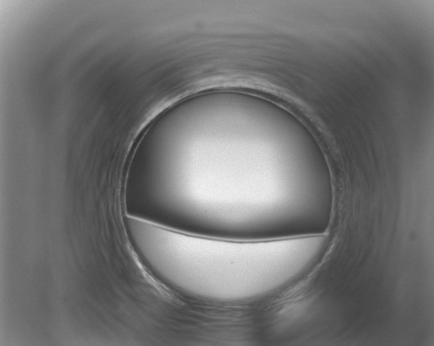 X0000080711513200612150849