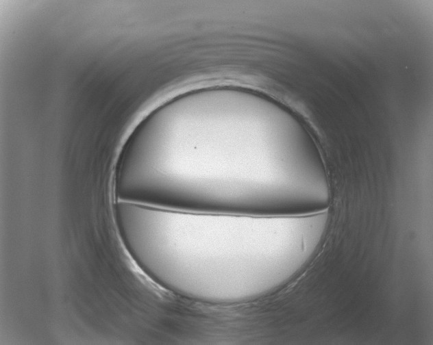 X0000080711516200612150849