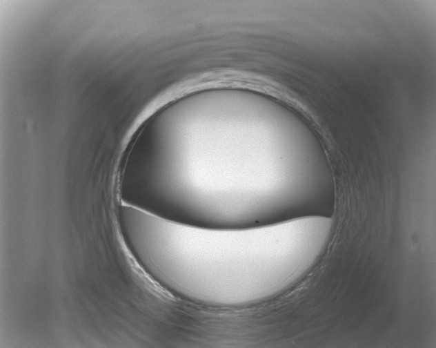 X0000080711522200612150849