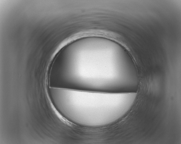 X0000080711523200612150849