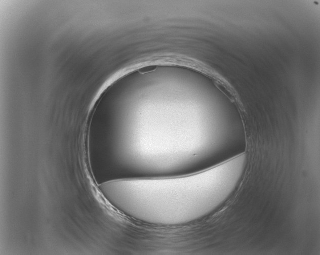 X0000080711530200612150849