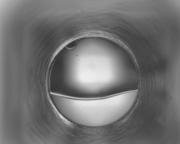 X0000080711533200612150849