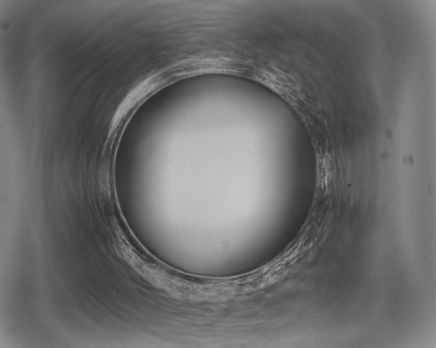 X0000080710004200612151145