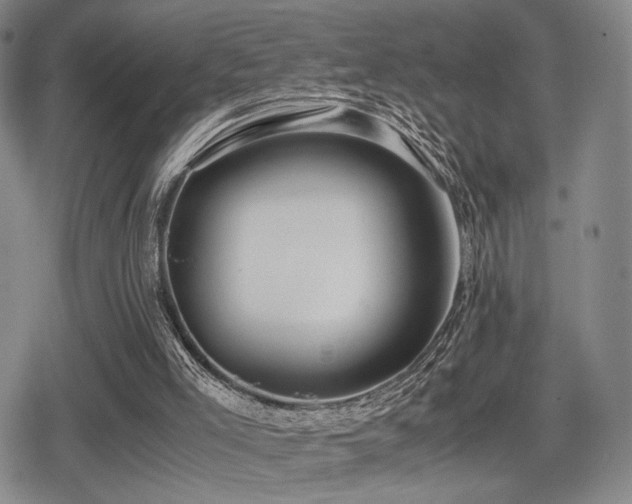 X0000080710005200612151145