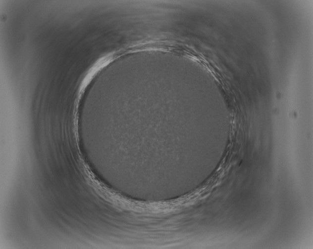 X0000080710006200612151145