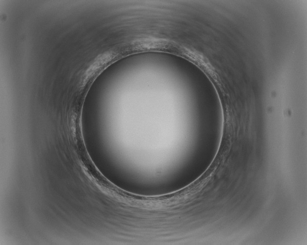 X0000080710010200612151145