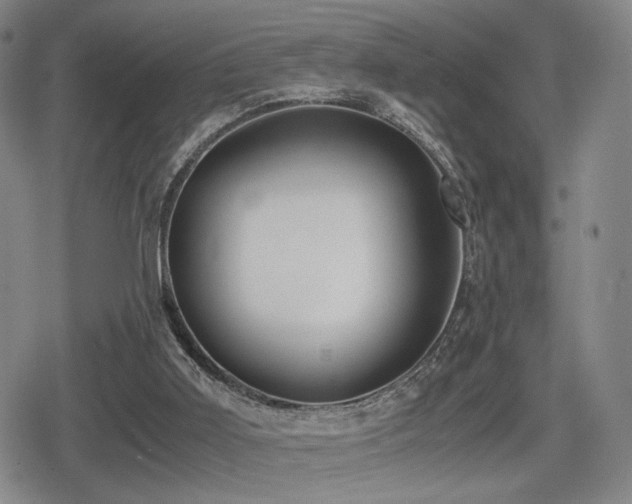 X0000080710011200612151145