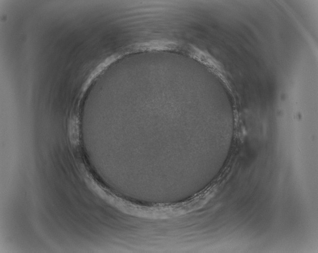 X0000080710012200612151145