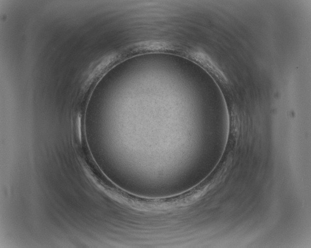 X0000080710014200612151145