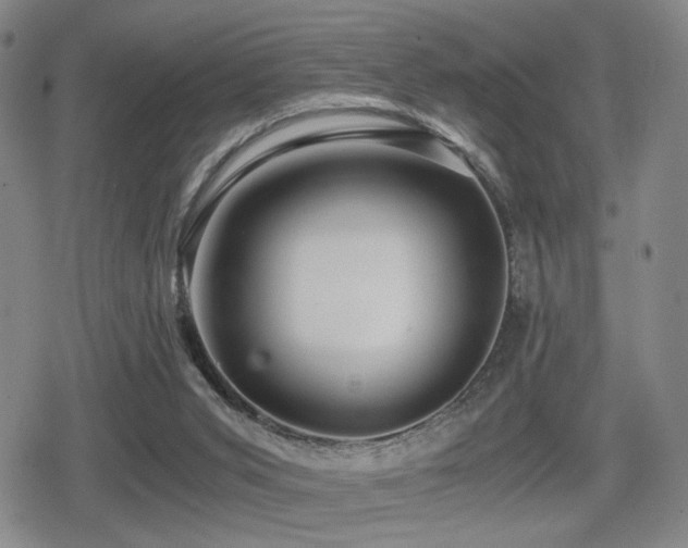 X0000080710015200612151145