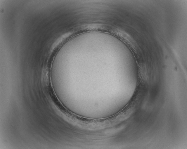 X0000080710016200612151145