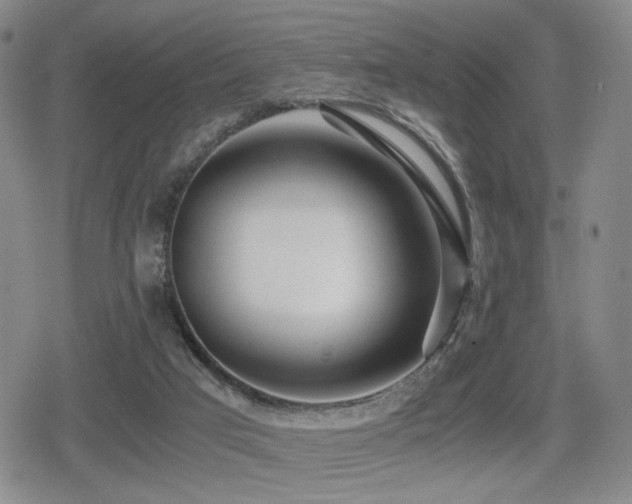 X0000080710017200612151145