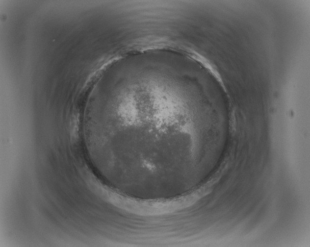 X0000080710018200612151145