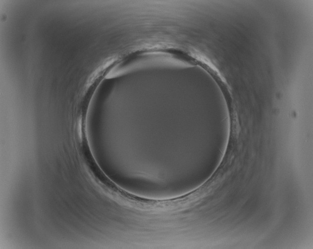 X0000080710019200612151145