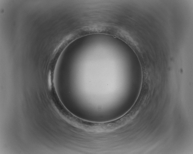 X0000080710020200612151145