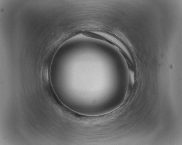 X0000080710021200612151145