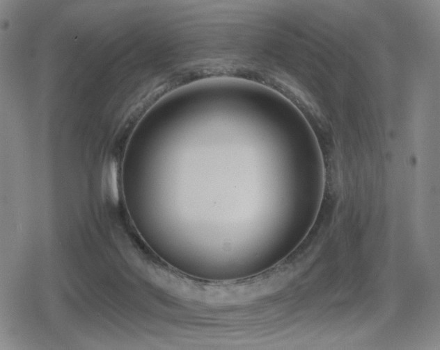 X0000080710022200612151145