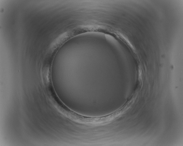 X0000080710023200612151145