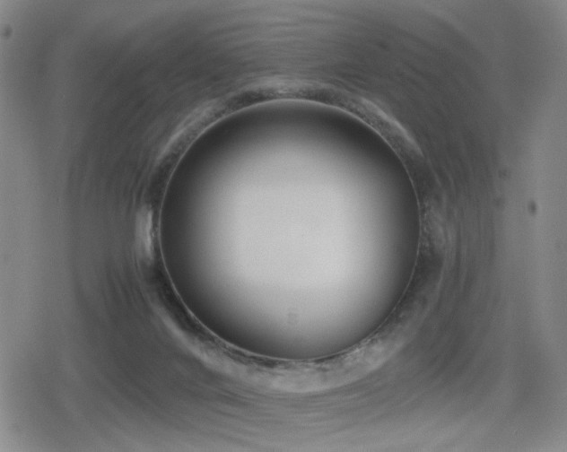 X0000080710024200612151145