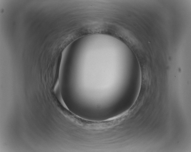 X0000080710025200612151145