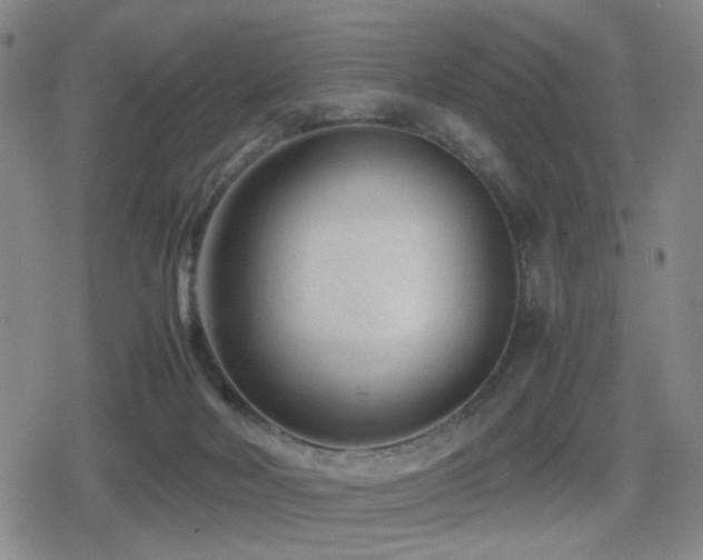 X0000080710026200612151145