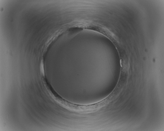 X0000080710027200612151145