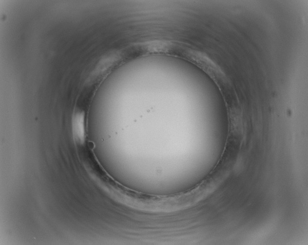 X0000080710028200612151145