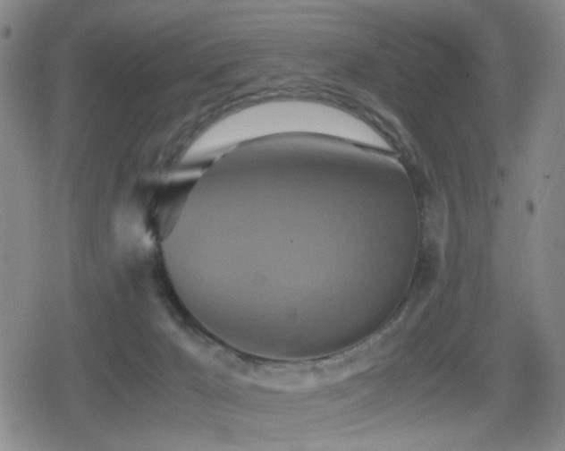 X0000080710029200612151145