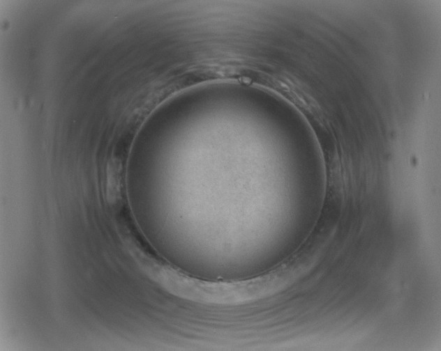 X0000080710030200612151145