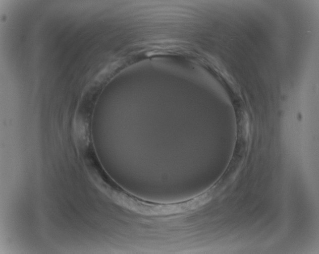 X0000080710031200612151145