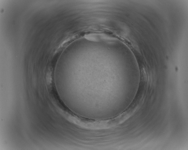 X0000080710032200612151145