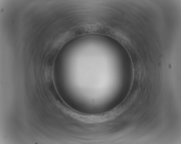 X0000080710034200612151145