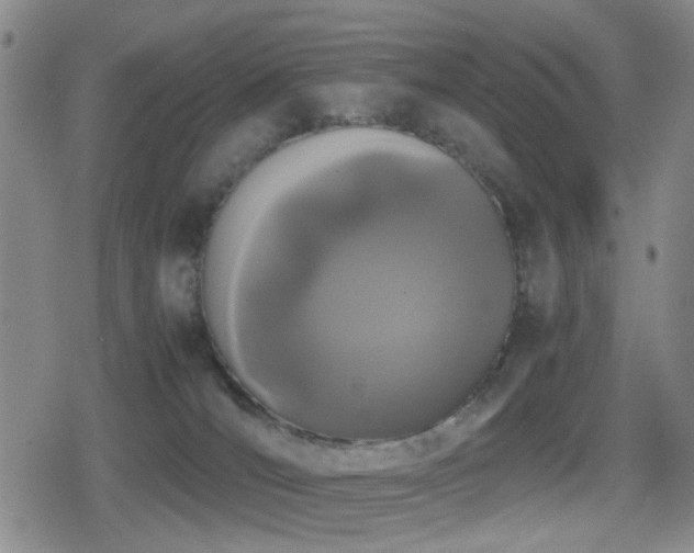 X0000080710036200612151145