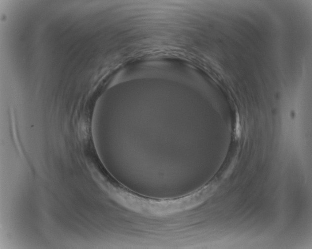 X0000080710039200612151145