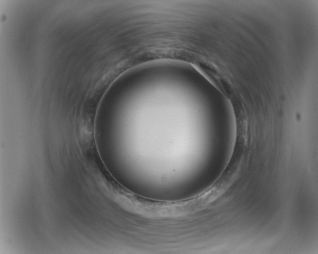 X0000080710040200612151145