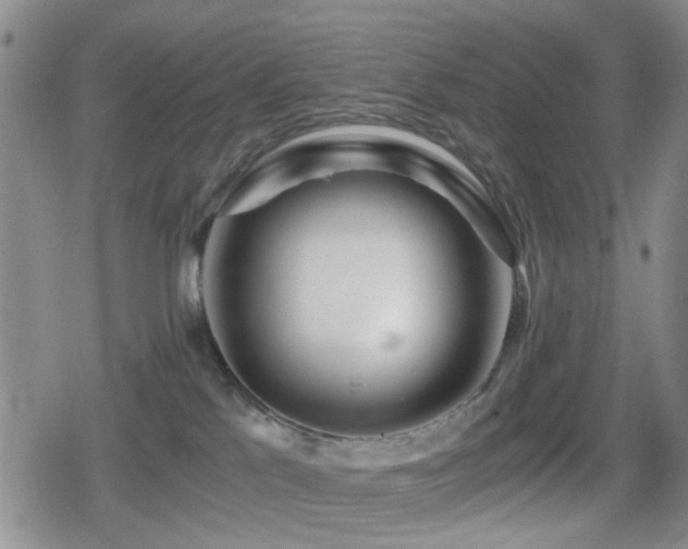 X0000080710041200612151145